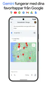 Google Gemini screenshot