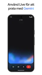 Google Gemini screenshot