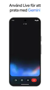 Google Gemini screenshot