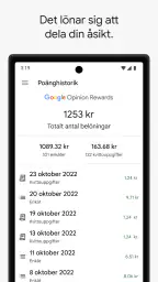 Google Konsumentpanel screenshot