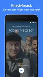 Google Meet screenshot