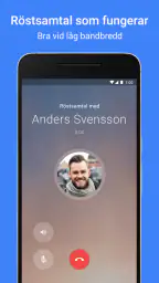 Google Meet screenshot