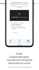 Google One screenshot