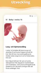 Graviditet screenshot