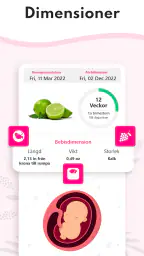 Graviditetsuträknare, kalender screenshot