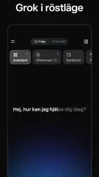 Grok: AI chat på svenska screenshot