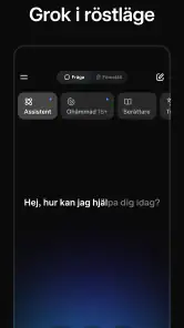 Grok: AI chat på svenska screenshot