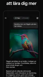 Grok: AI chat på svenska screenshot
