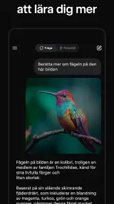 Grok: AI chat på svenska screenshot