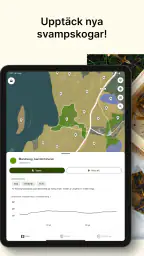 Hitta Skog: Svamp och Bär screenshot