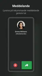 Honda RoadSync screenshot