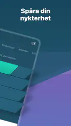 I Am Sober - Jag är nykter screenshot