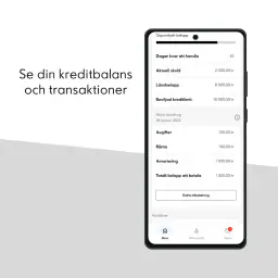 IKEA Finansiering screenshot