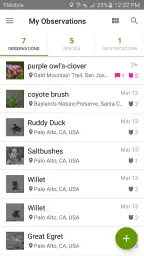 iNaturalist screenshot