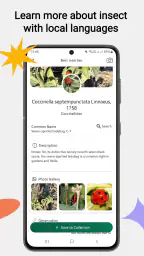 Insektsidentifierare screenshot