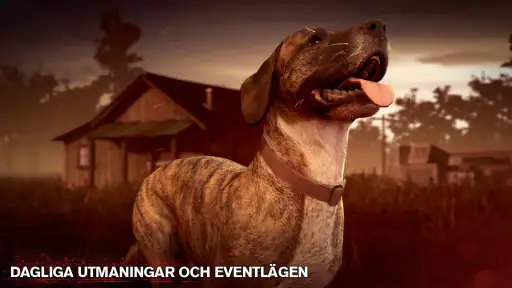 Into the Dead 2 screenshot