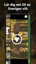 Jägarexamen Lite screenshot