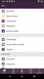 Joyvoice screenshot