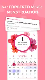 Kalender för menstruation screenshot