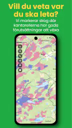 Kantarellappen screenshot