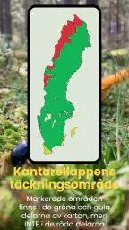 Kantarellappen screenshot