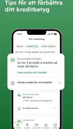 Kreddy - se ditt kreditbetyg screenshot
