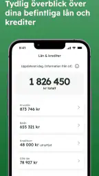 Kreddy - se ditt kreditbetyg screenshot
