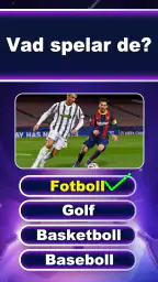 Kunskap Frågesport Testa screenshot