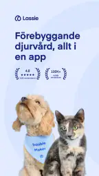 Lassie screenshot