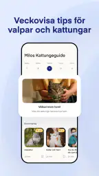 Lassie screenshot