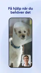 Lassie screenshot