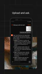 Le Chat by Mistral AI screenshot