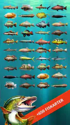 Let's Fish: Sportfiske screenshot