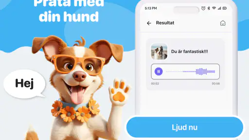 Människa till hund-översättare screenshot