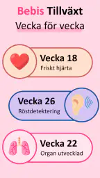 Min Graviditetsuträknare screenshot