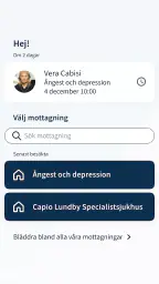 Mitt videomöte screenshot