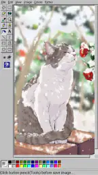 Ms Paint screenshot