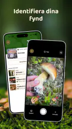 Mushroom Spot: svampkarta screenshot