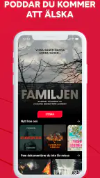 Naudio screenshot