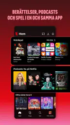 Netflix screenshot