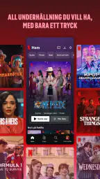 Netflix screenshot