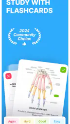 Noji: Study with Flashcards screenshot