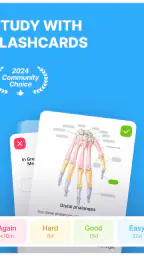 Noji: Study with Flashcards screenshot