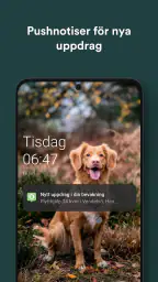 Offerta screenshot
