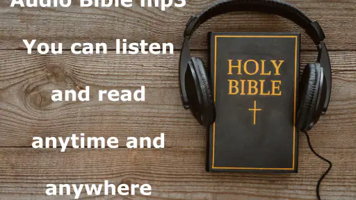 Offline Audio Bible KJV App screenshot
