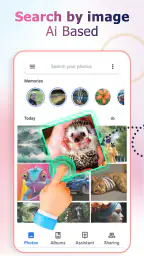Omvänd sökbild screenshot
