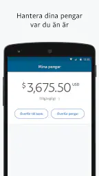 PayPal Business screenshot