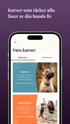 Petli: Hundträning & Community screenshot
