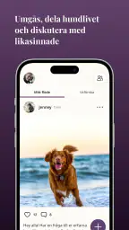 Petli: Hundträning & Community screenshot