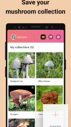 Picture Mushroom - Mushroom ID screenshot